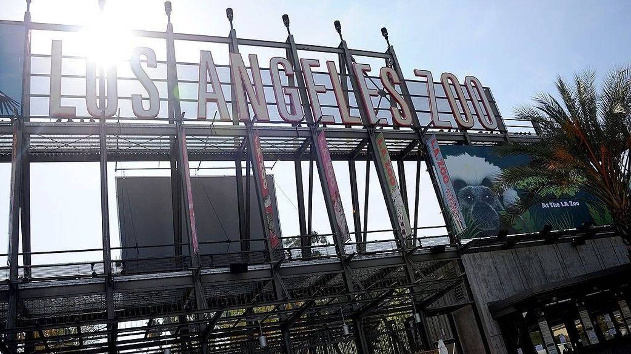 A general view of atmosphere at the Greater Los Angeles Zoo.