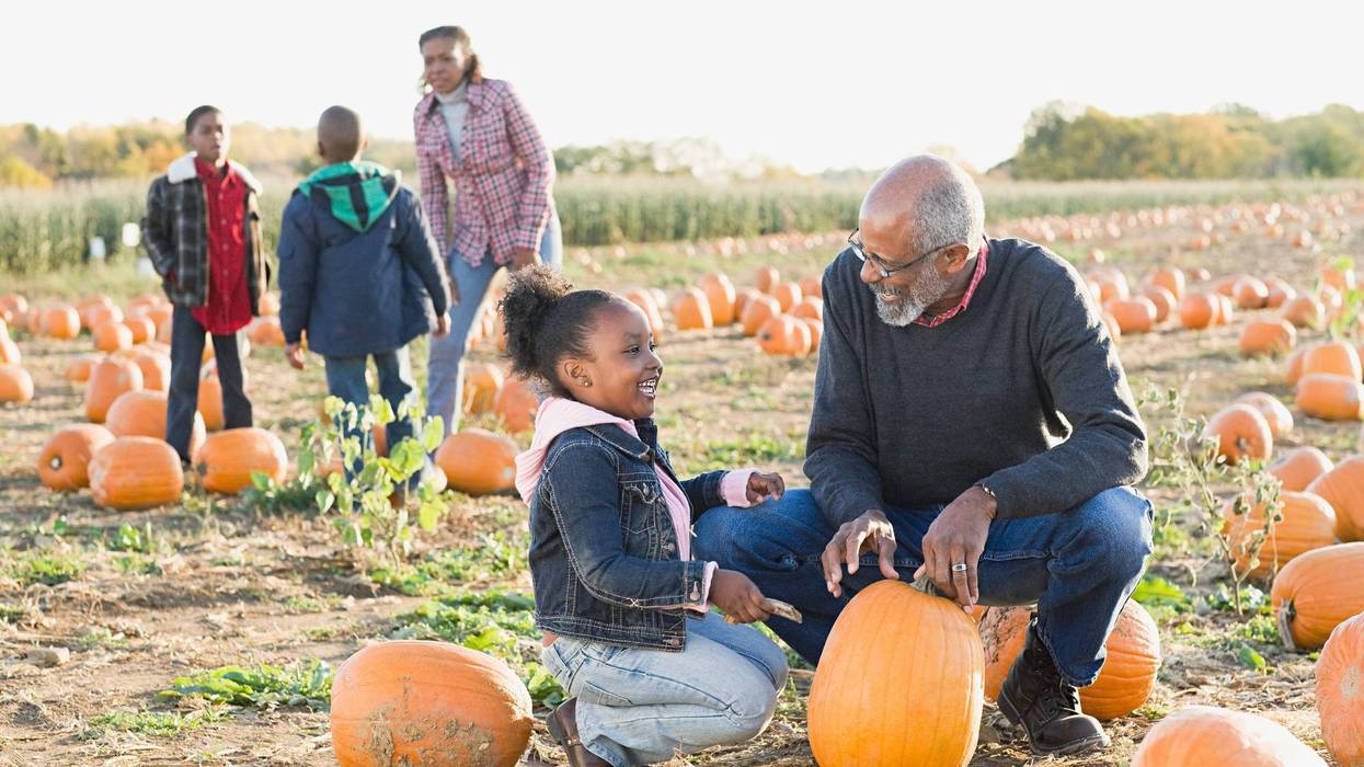 A grandfather and his granddaughter looking at pumpkins
