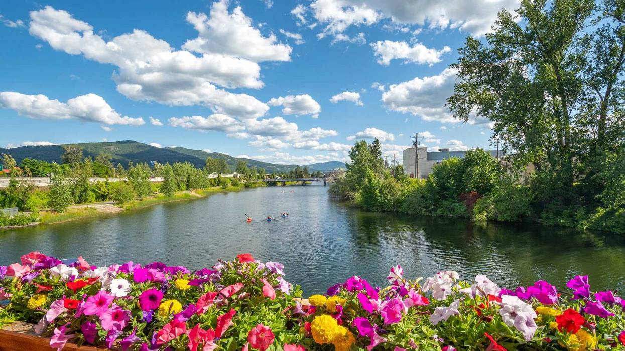 A group of kayakers enjoy a beautiful summer day on Sand Creek River and Lake Pend Oreille in the downtown area of Sandpoint, Idaho, USA