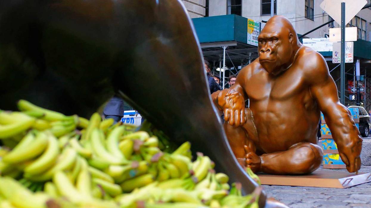 A Harambe statue is seen in front of the Charging Bull statue on October 18, 2021 in New York City