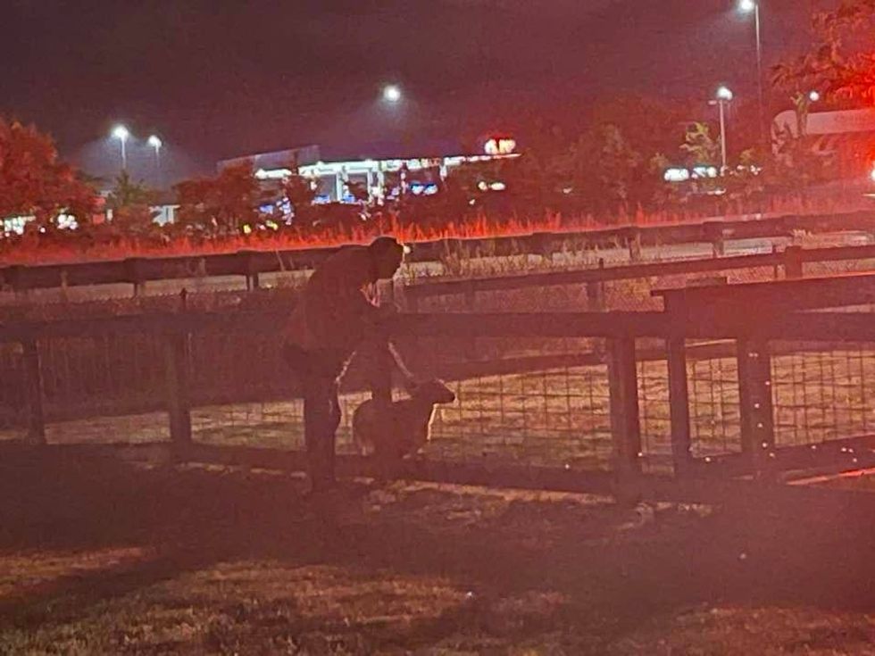 A historic building in West Michigan was destroyed early Thursday morning after a raging fire engulfed the structure in Neils