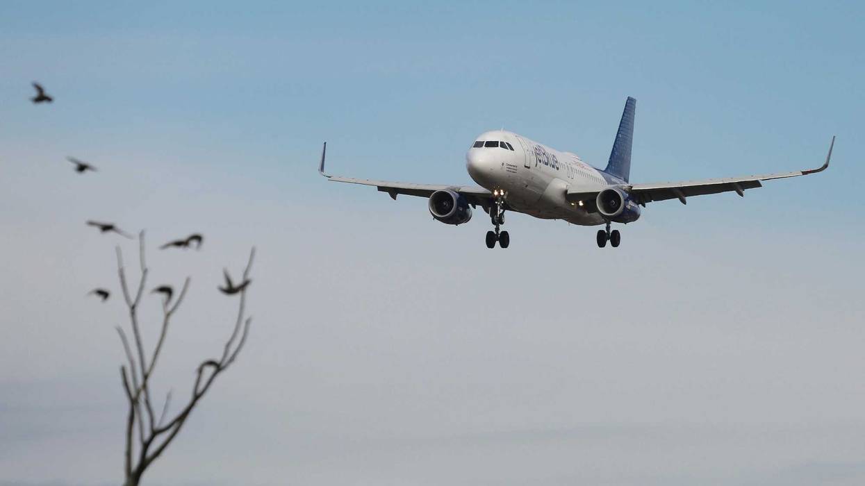 A JetBlue Airways Airbus A320 passenger aircraft lands at John F. Kennedy International Airport in New York City