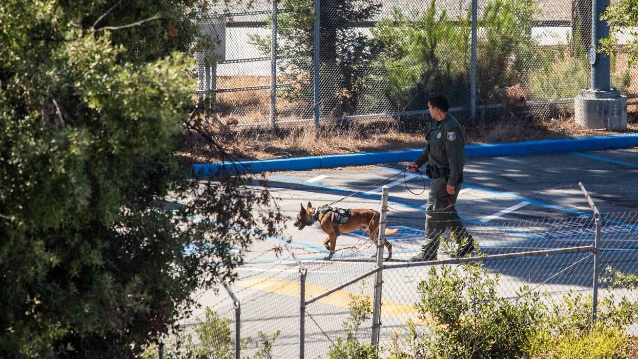 A K-9 unit works the scene of a mass shooting at the Valley Transportation Authority (VTA) light-rail yard on May 26, 2021 in San Jose, California.