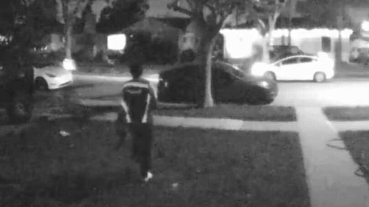 A Lakewood family is searching for their beloved Siamese cat after it was stolen by a freelance Amazon delivery driver.