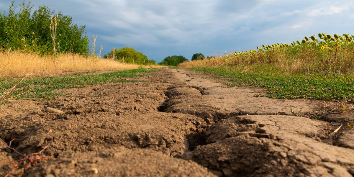 Despite recent rain, a large portions of Minnesota remains under drought conditions