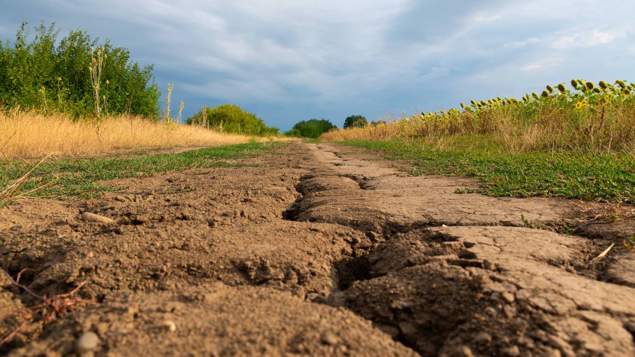Despite recent rain, a large portions of Minnesota remains under drought conditions