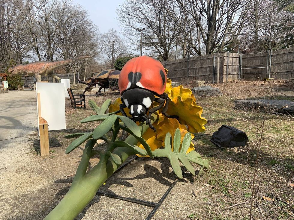 A larger-than-life bug