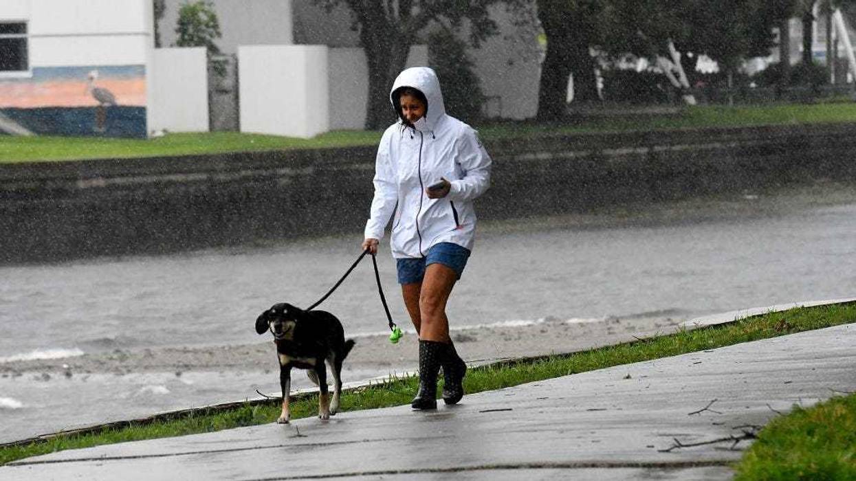 A local resident walks her dog in the rain and wind at the bay of Saint Petersburg as Hurricane Ian approaches on September 28, 2022 in St. Petersburg, Florida. Ian is hitting the area as a Category 4 hurricane. (Photo by Gerardo Mora/Getty Images)