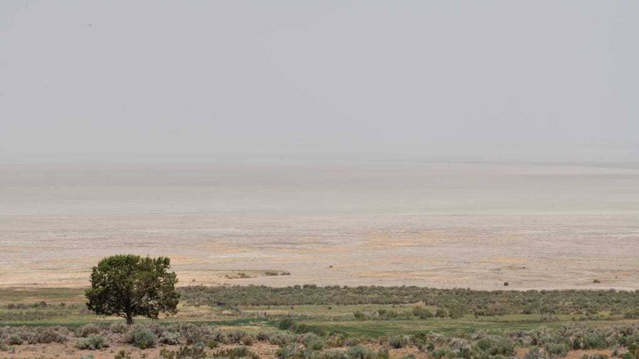 A lone tree stands in front of the dried up basin of Summer Lake beneath thick smoke from the Bootleg Fire on July 21, 2021 in Summer Lake, Oregon.