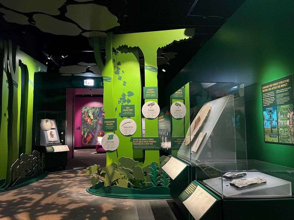 A look inside the Field Museum
