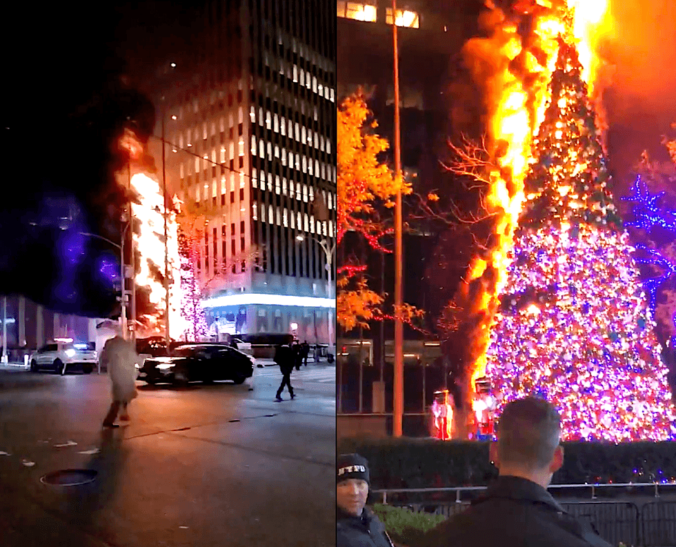 A man climbed the Fox News tree in December 2021 and set it on fire with a piece of burning cardboard