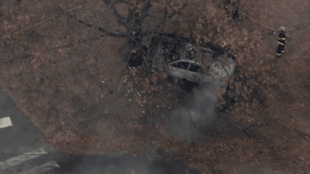 A man crashed this Toyota into a tree near Philadelphia Zoo on Tuesday before allegedly attacking everyone who came near him to offer any kind of assistance..