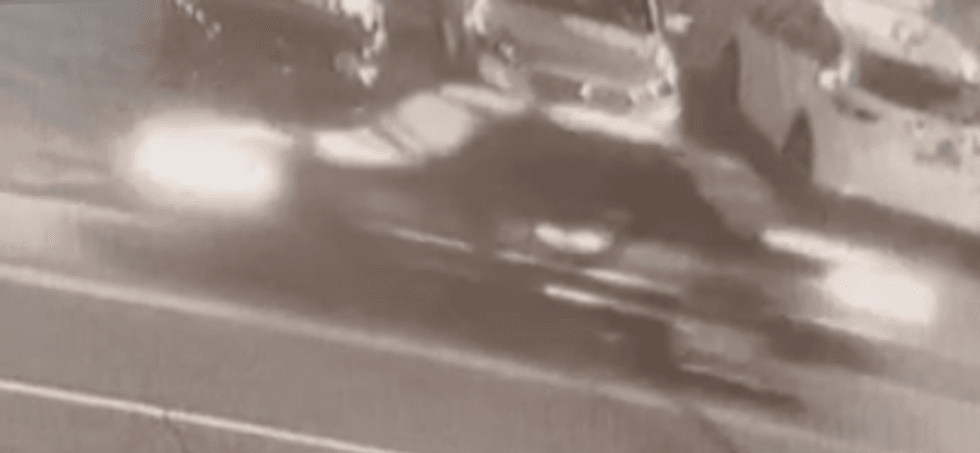 A man fled with Bandit in an older model vehicle, possibly a Mercury Grand Marquis, according to police
