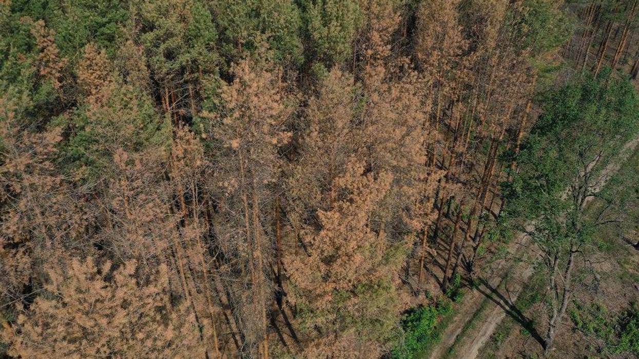 A Mariposa family was found dead in the Sierra Nevada Forest after going for a hike on Aug. 15.