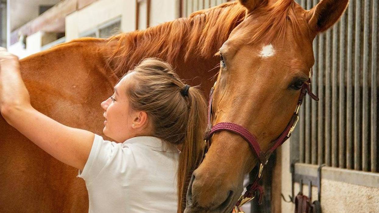A measure awaiting Gov. JB Pritzker would mandate that certain insurance plans cover hippotherapy and other therapeutic horseback riding treatments.
