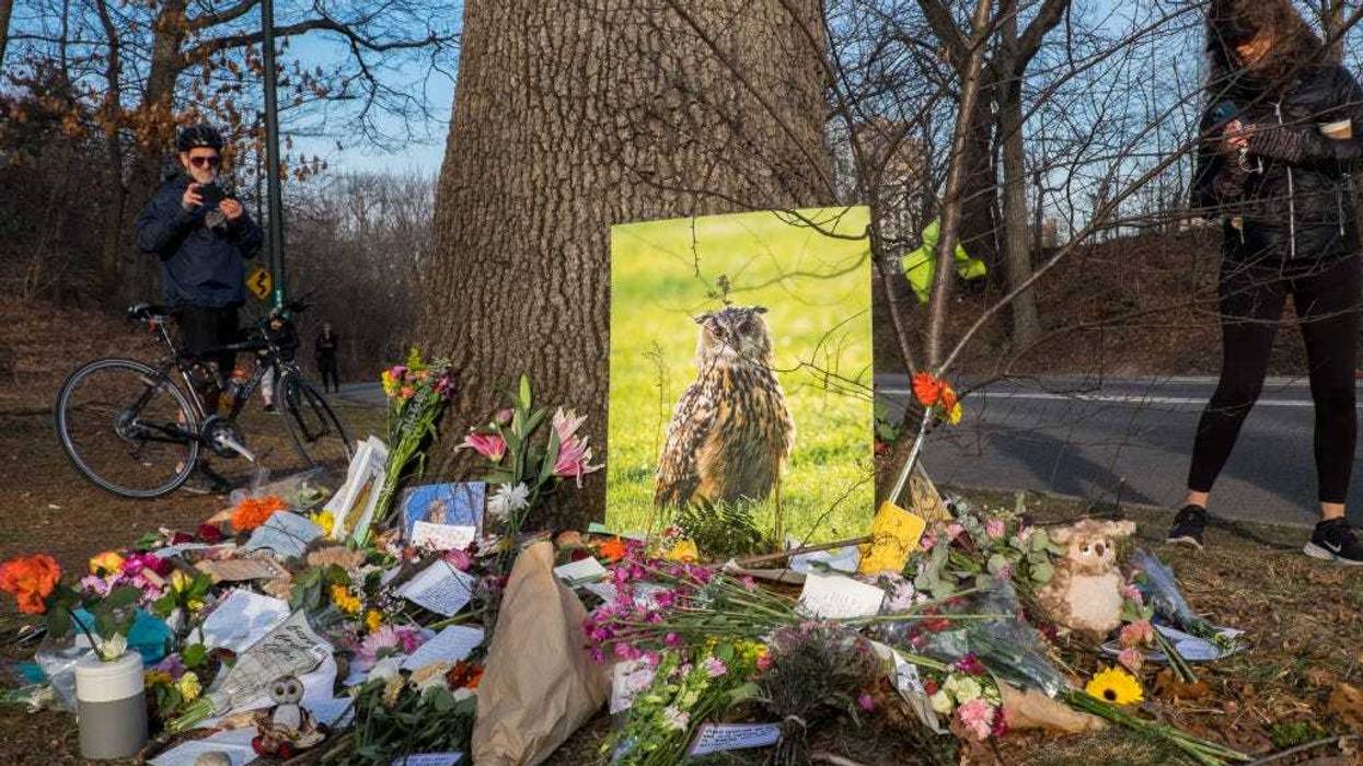 A memorial was held for Flaco the Owl on Sunday in Central Park.