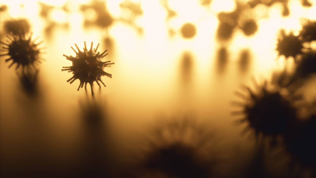 A Metro Detroit school was forced to cancel classes for the rest of the week after numerous students and staff fell ill with a highly contagious stomach virus.