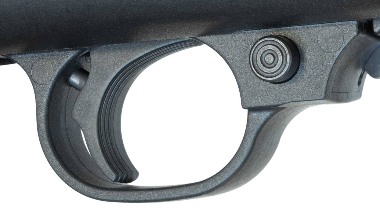 A Minnesota District Court Judge on Monday struck down a state law banning binary triggers on guns.