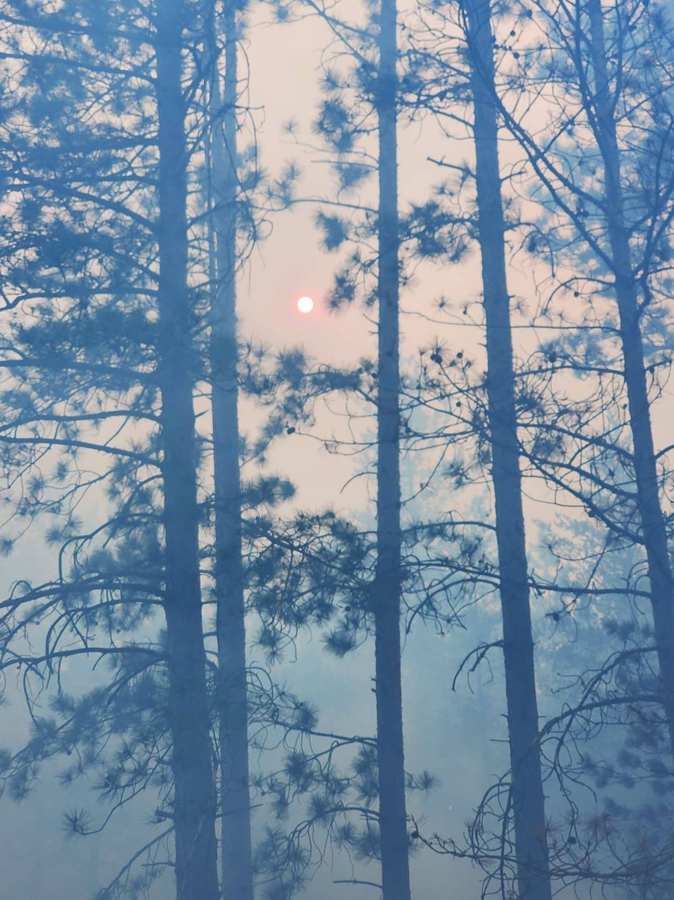 A modest campfire quickly spread into a full-scale wildfire on Friday, burning through 160 acres before crews got it under control in Northern Michigan.