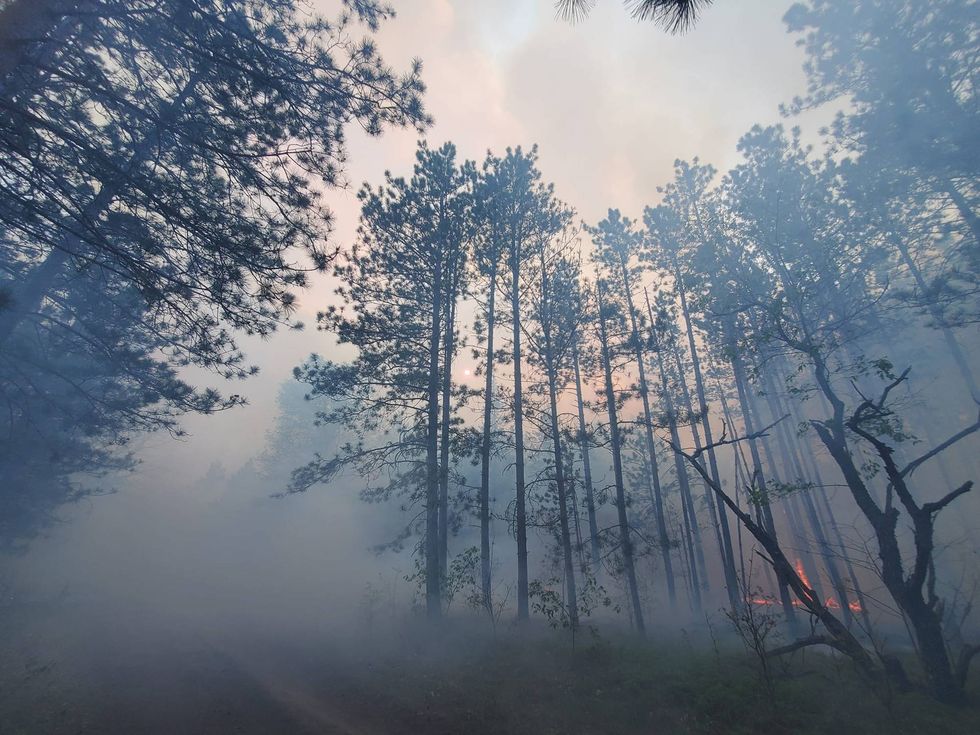 A modest campfire quickly spread into a full-scale wildfire on Friday, burning through 160 acres before crews got it under control in Northern Michigan.