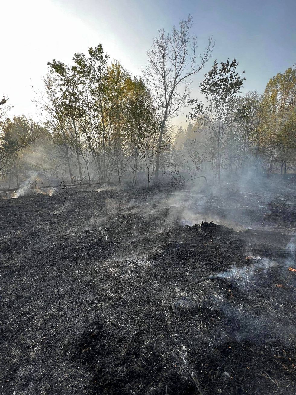 A modest campfire quickly spread into a full-scale wildfire on Friday, burning through 160 acres before crews got it under control in Northern Michigan.