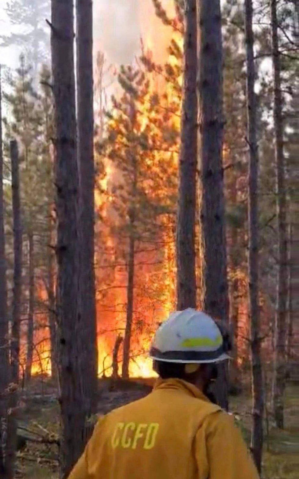 A modest campfire quickly spread into a full-scale wildfire on Friday, burning through 160 acres before crews got it under control in Northern Michigan.