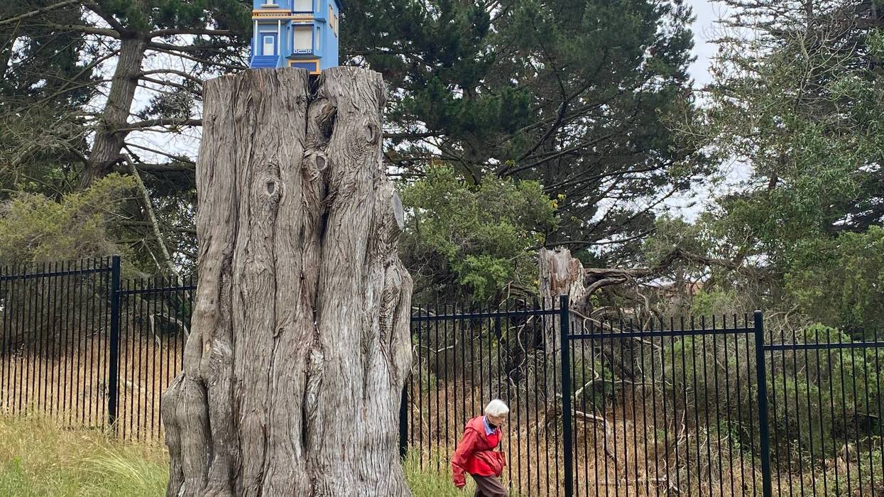 A mysterious mini Victorian House has appeared in San Francisco's Golden Gate Park.