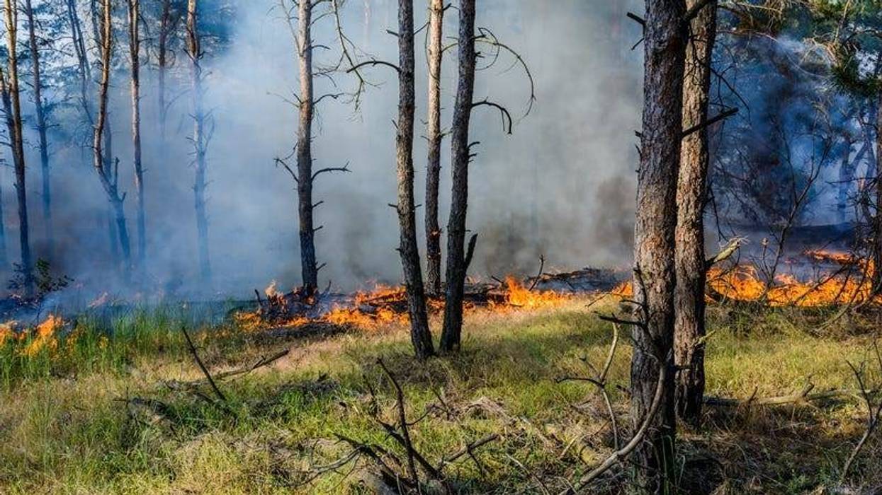 A pair of assembly committees listened to people discuss their plans to better protect the Pinelands from the kind of disastrous fires that are happening out west.