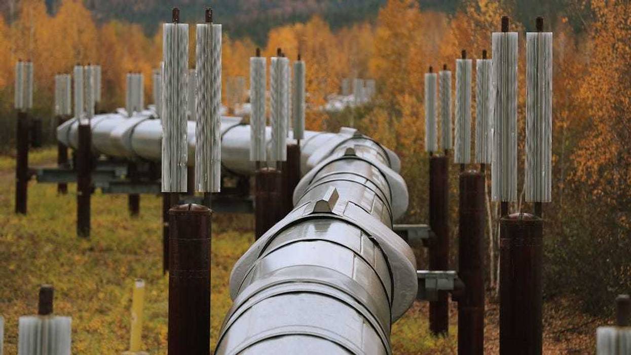 A part of the Trans Alaska Pipeline System is seen on September 17, 2019 in Fairbanks, Alaska. The 800-mile-long pipeline carries oil from Prudhoe Bay to Valdez.