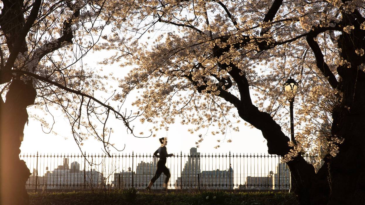 SPRING HAS SPRUNG: NYC enters nicest stretch of weather so far this year