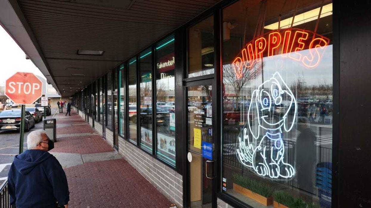 A person looks in the windows of Shake A Paw in Hicksville, New York on Dec. 16, 2021.
