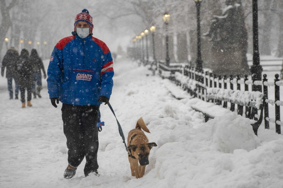 A person walks a dog in Central Park during a snow storm on February 7, 2021 in New York City