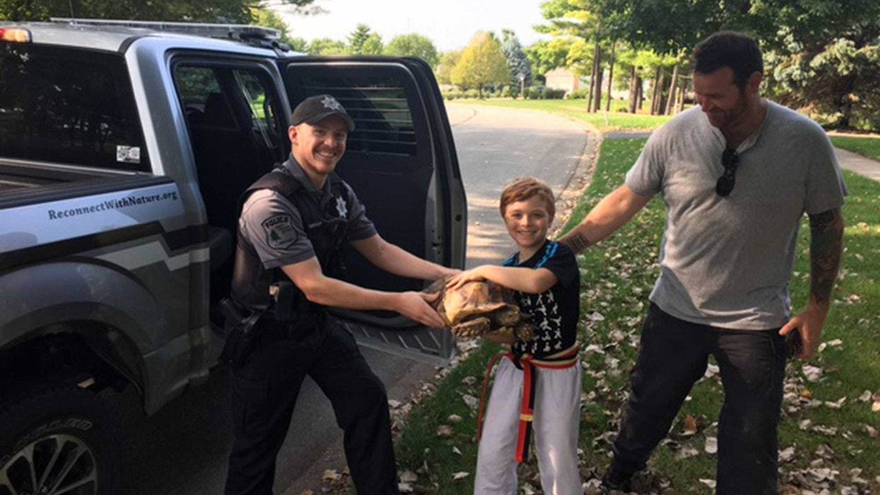 A pet tortoise that was lost in Hammel Woods was successfully reunited with its Shorewood family after a Forest Preserve District of Will County police officer helped solve the missing reptile case.