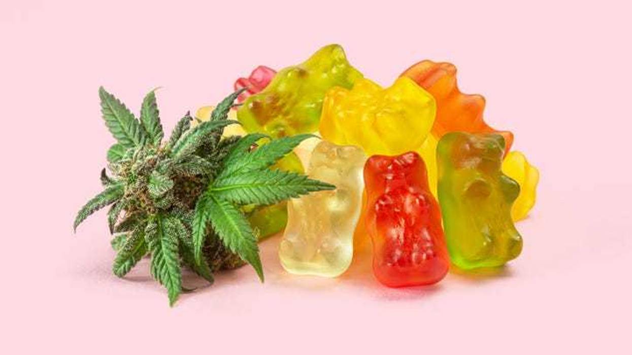 A pile of gummy bears made with cannabis extract next to a fresh bud or hemp flower.