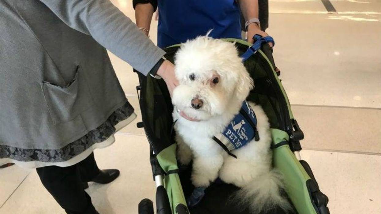 A pilot program to help reduce stress for travelers at Philadelphia International Airport is taking off.