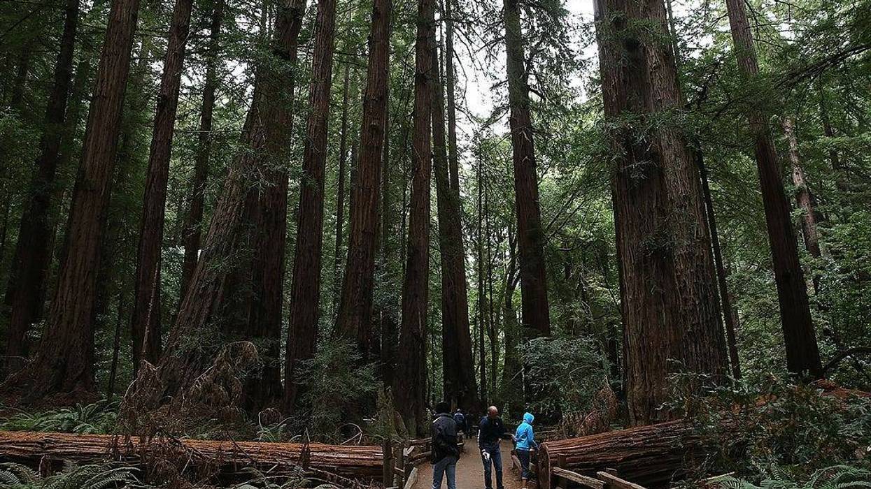 A placard in Muir Woods was altered by staff to share a more correct history of the park.