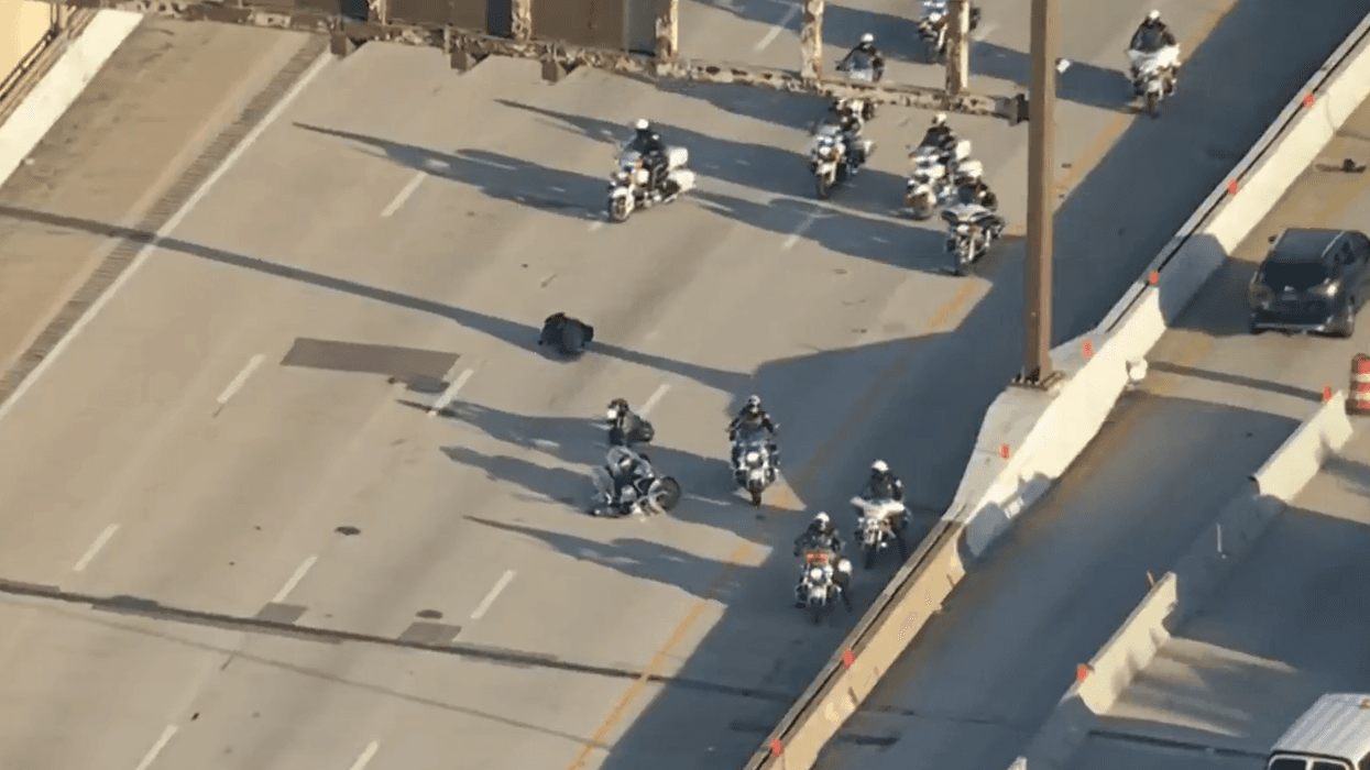 A police officer crashed their motorcycle into another officer’s bike during a police motorcade on I-95