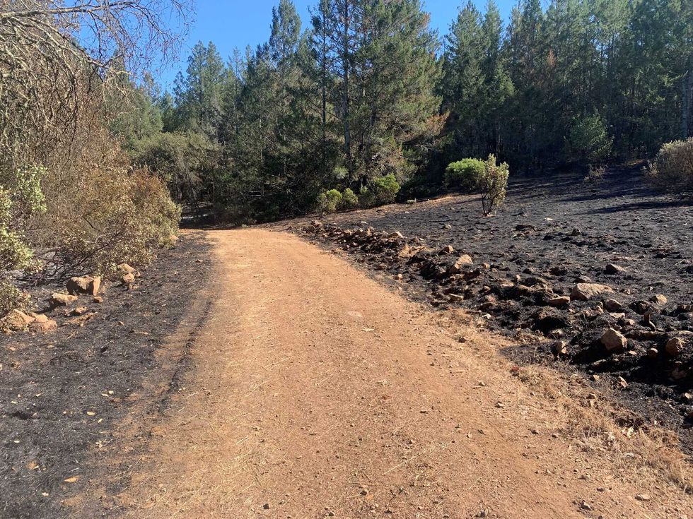 A portion of the fire break built by rancher Vincent Martin.