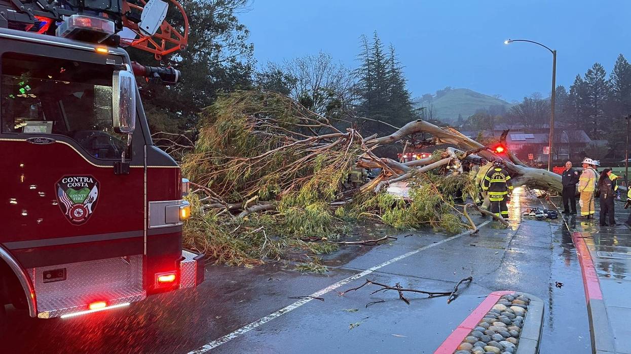 A rare "bomb cyclone" slammed into the Bay Area yesterday, bringing heavy rain and high winds, and causing death and injuries from falling trees and debris.