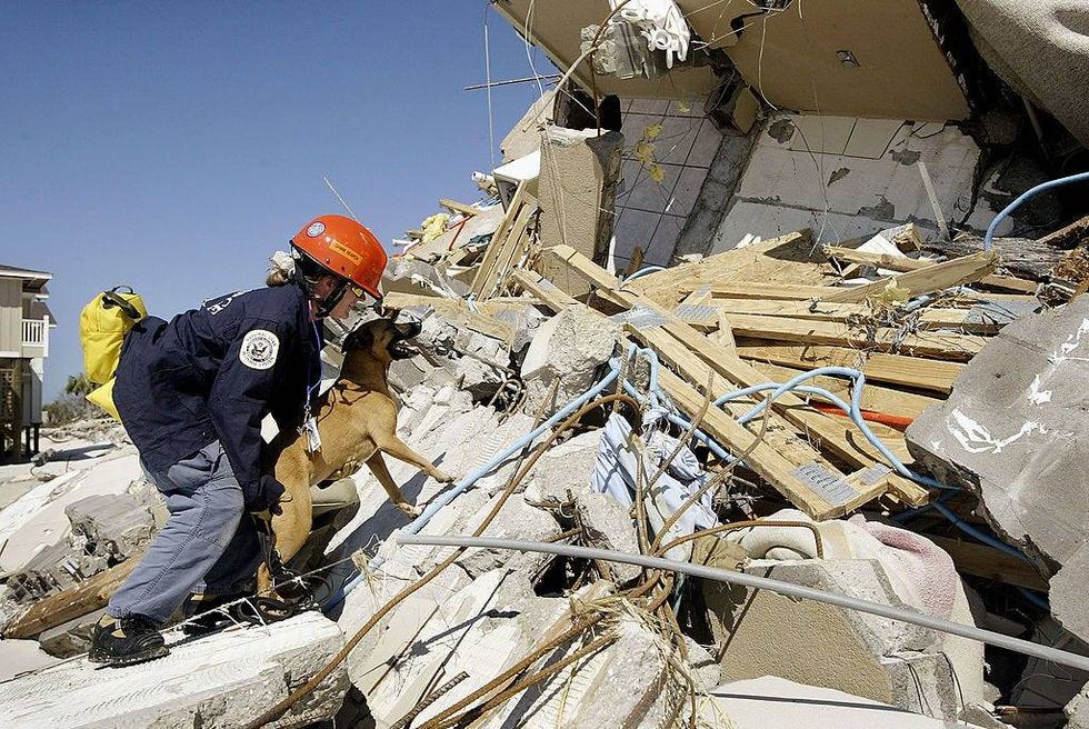 A rescue worker sends a dog to search for survivors into the wreckage of a condominium destroyed by Hurricane Ivan September 17, 2004 in Orange Beach, Alabama
