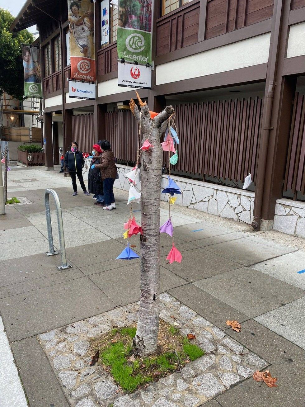 A ribbon covers what