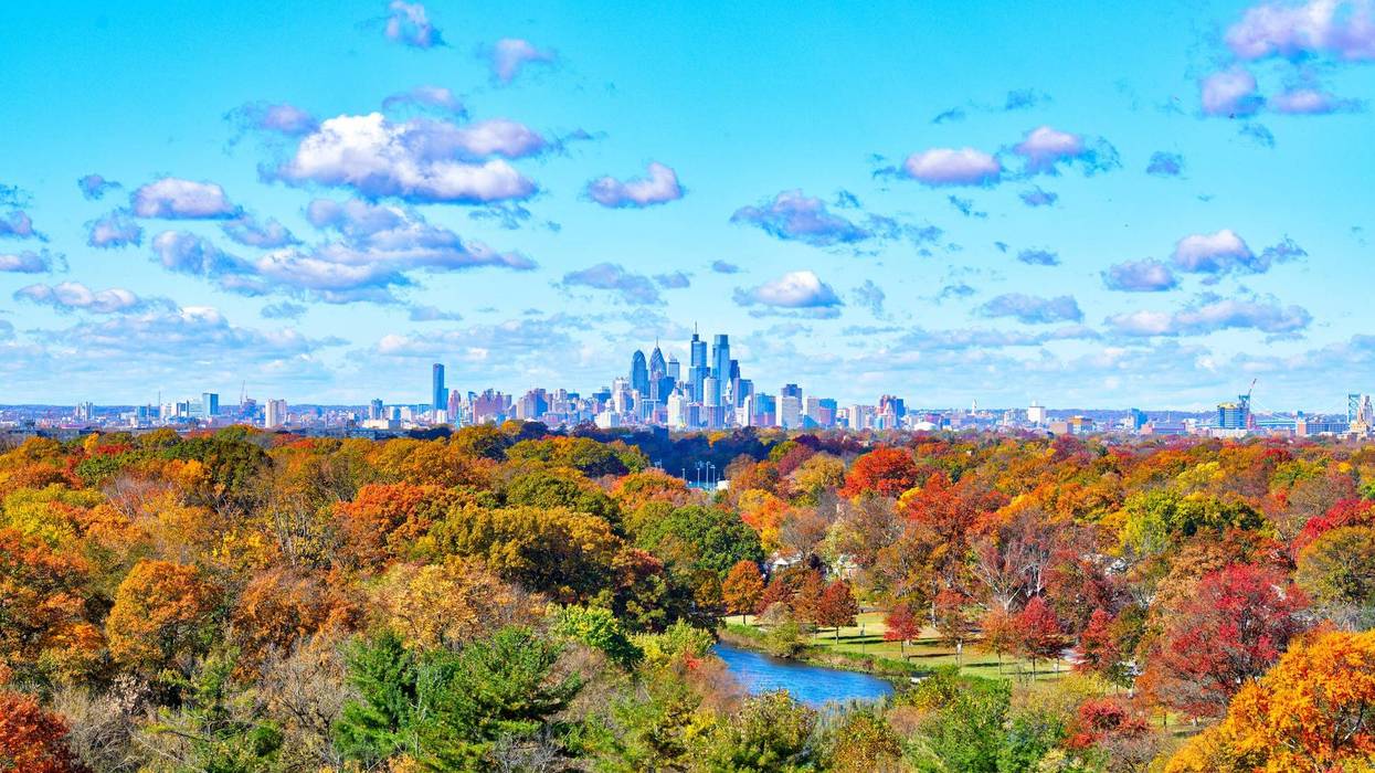 A shot of Philadelphia's skyline behind a foreground of Fall foliage.