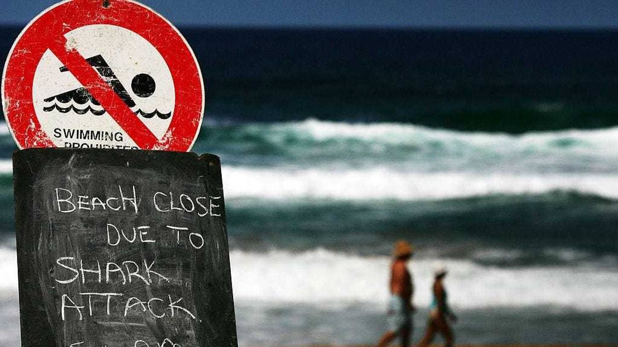 A sign is seen on the closed Avalon Beach after a shark attack on a surfer on March 1, 2009 in Sydney, Australia.