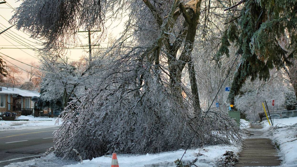 A statewide online damage survey is now open so Texans can report property damage from this weekend’s severe winter storm, helping officials understand the full impact and support recovery efforts.