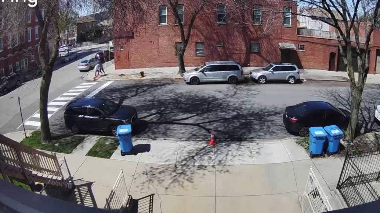 A still from one of the videos released by Chicago's Civilian Office of Police Accountability. It shows the moments before an off-duty Chicago police officer shot and killed an unleashed dog, after it got into a fight with the police officer's dog.