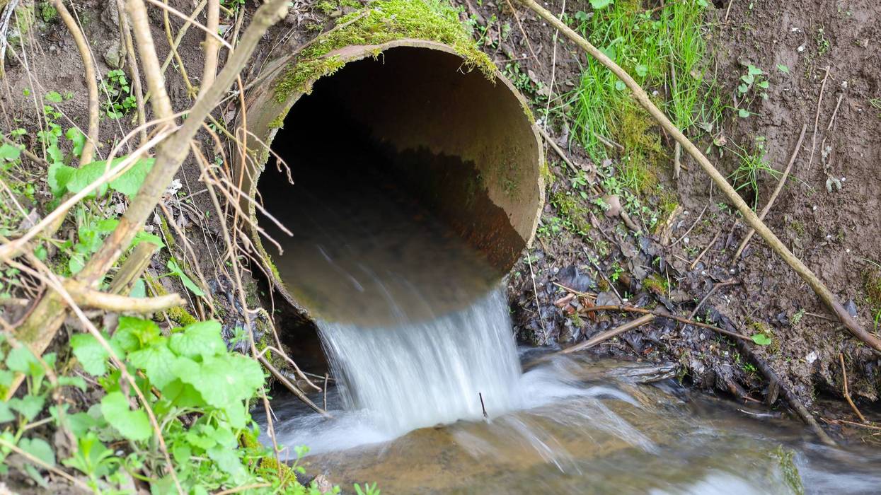 A stream of clear water flows out of a large concrete pipe, forming a small stream. The edges of the pipe are covered with green moss. Moist soil, young green grass, and small branches are visible around.