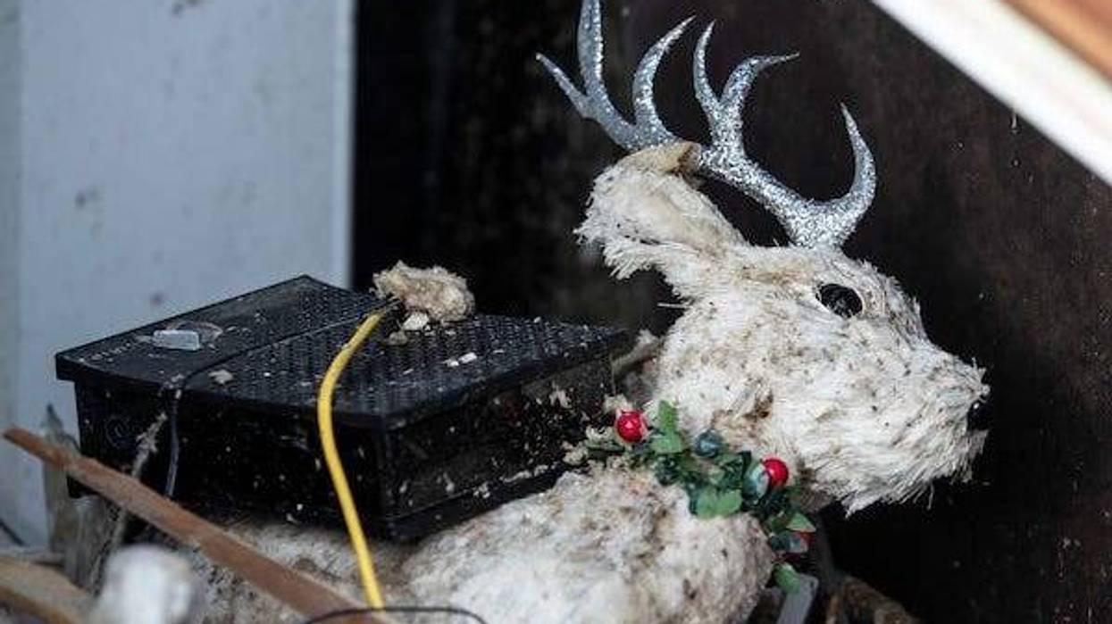A stuffed Christmas reindeer is among the debris left in a home in Barnsley, Kentucky after the area was hit by overnight tornados