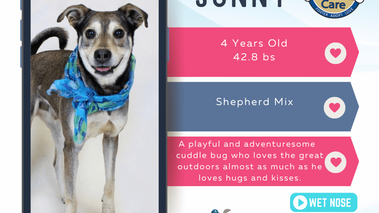 A Sunny Smile to Kick off Wet Nose Weekend