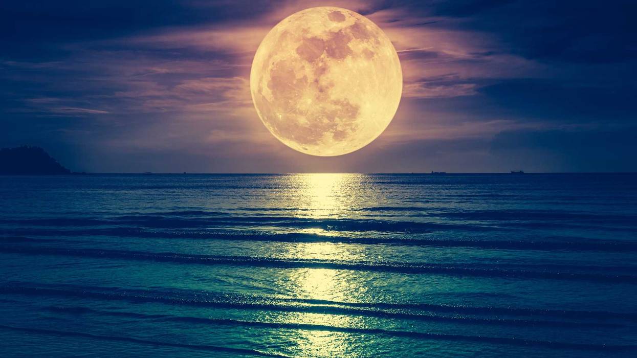 A super moon in the night's sky.