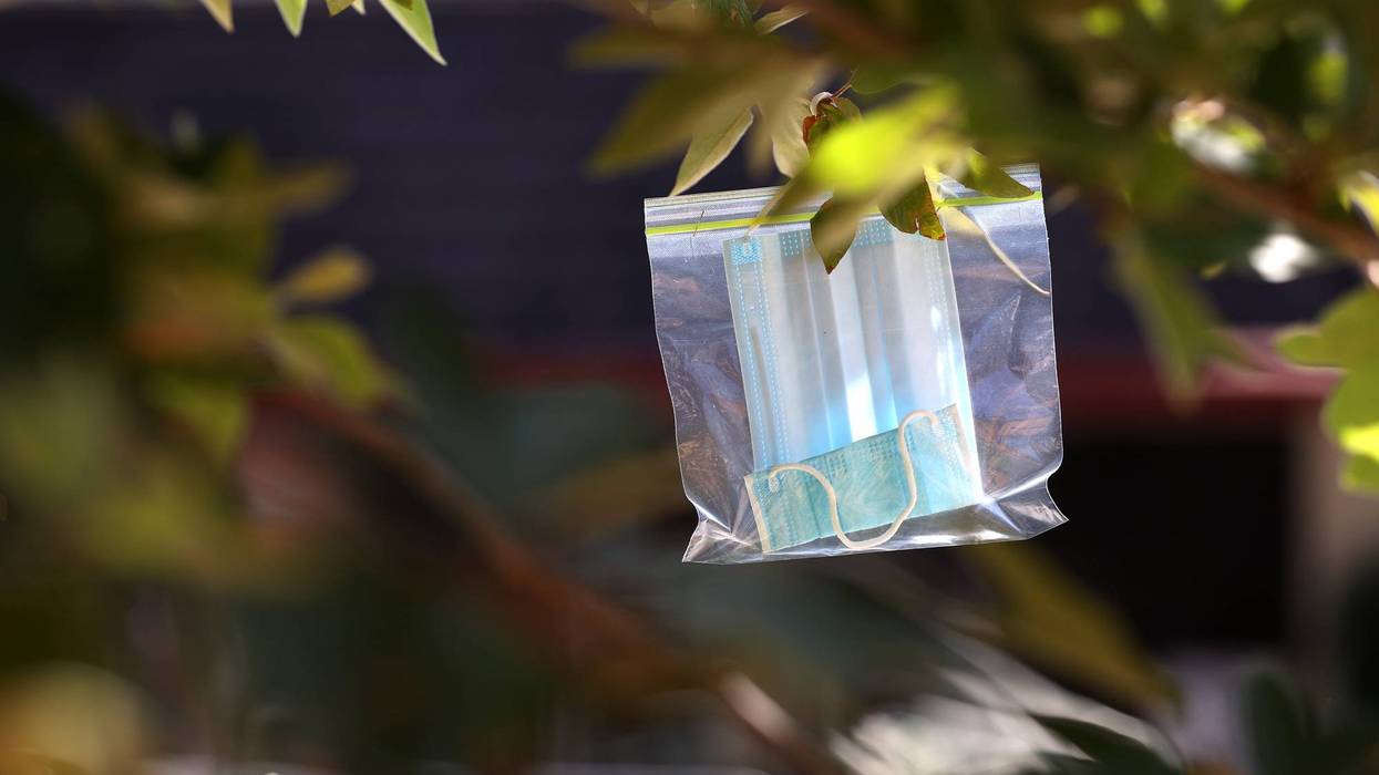 A surgical mask in a Ziploc bag hangs from a tree at Creek Park on August 10, 2020 in San Anselmo, California.